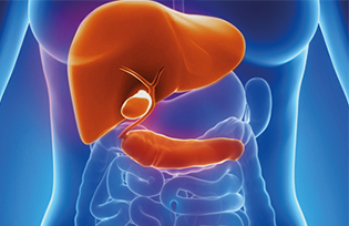 Gastrointestinal, Hepatobiliary and pancreatic surgery