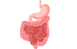 Medical Gastroenterology